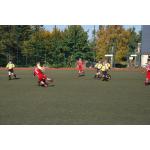 780x52005.ST  BSG-Schmiedeberg 01.10 (5).JPG